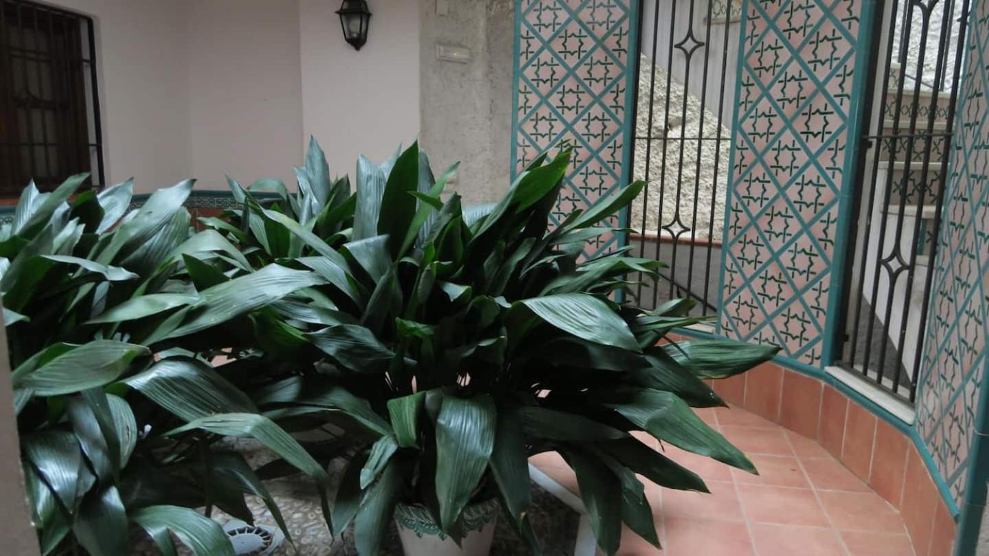 格拉纳达Charming Albaicin Patio Flat Free Onsite Parking公寓 外观 照片