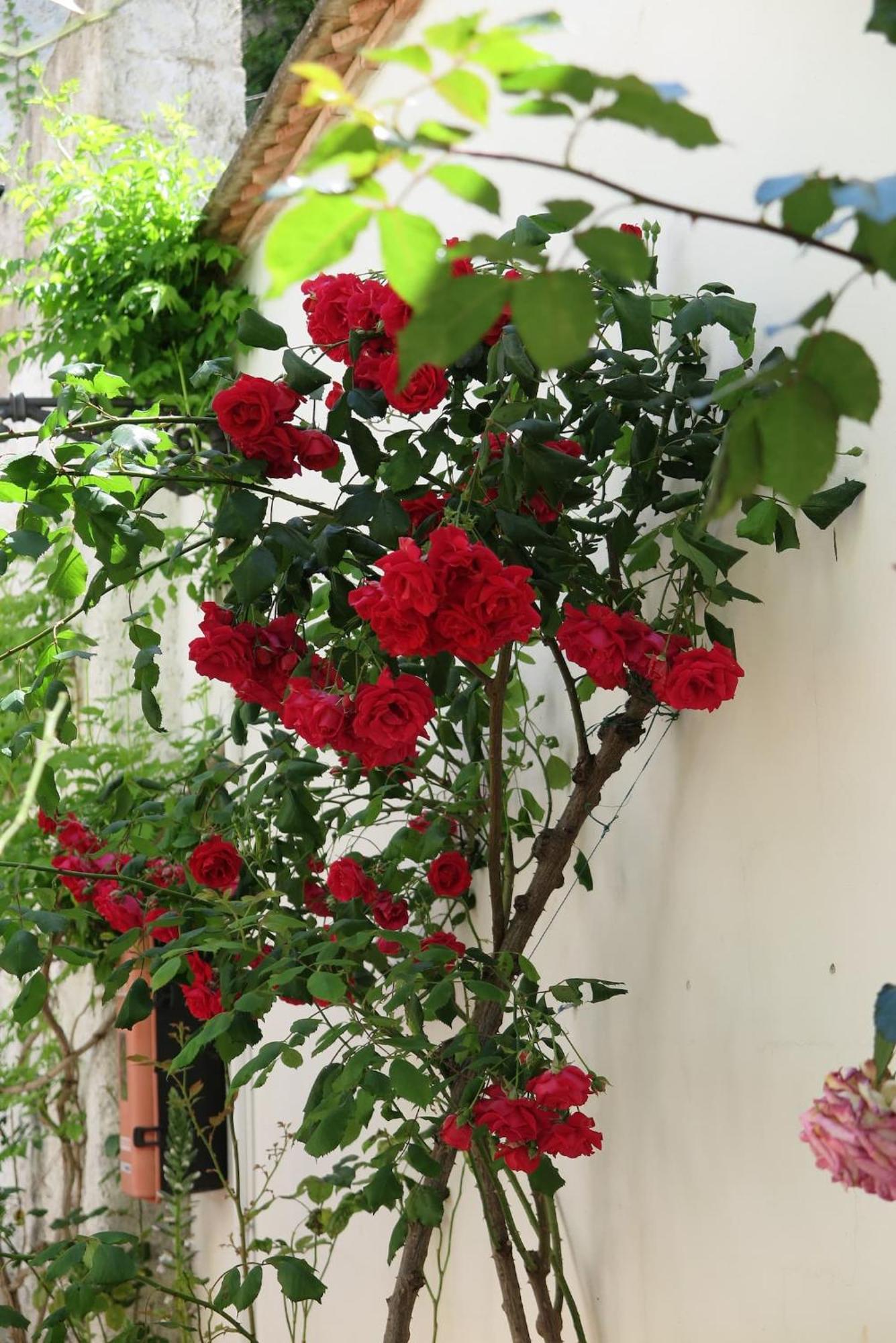 格拉纳达Charming Albaicin Patio Flat Free Onsite Parking公寓 外观 照片