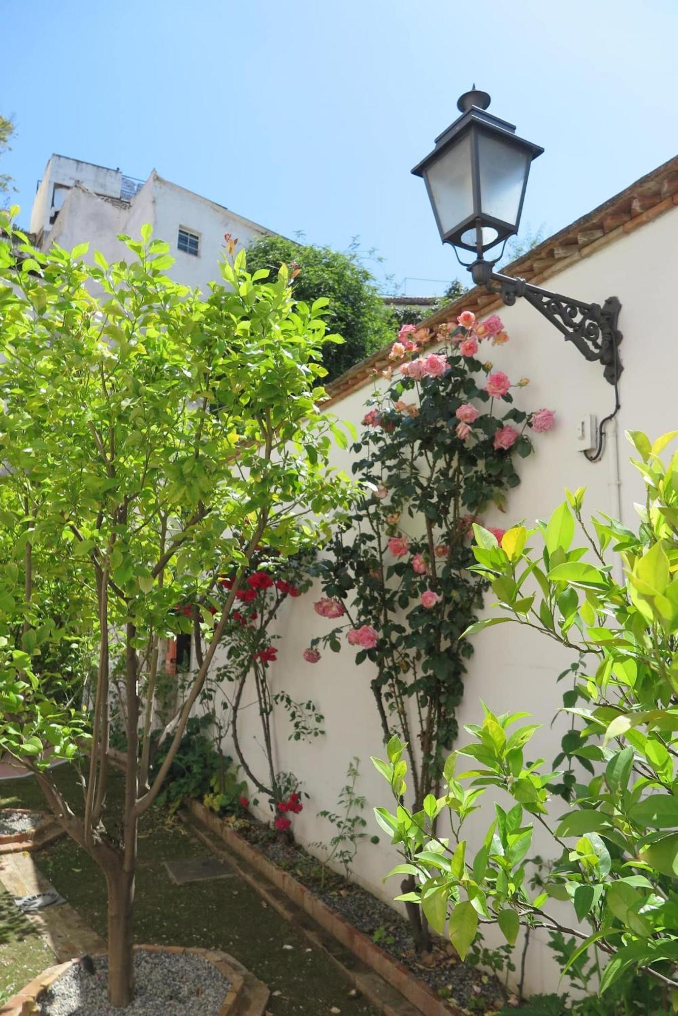 格拉纳达Charming Albaicin Patio Flat Free Onsite Parking公寓 外观 照片